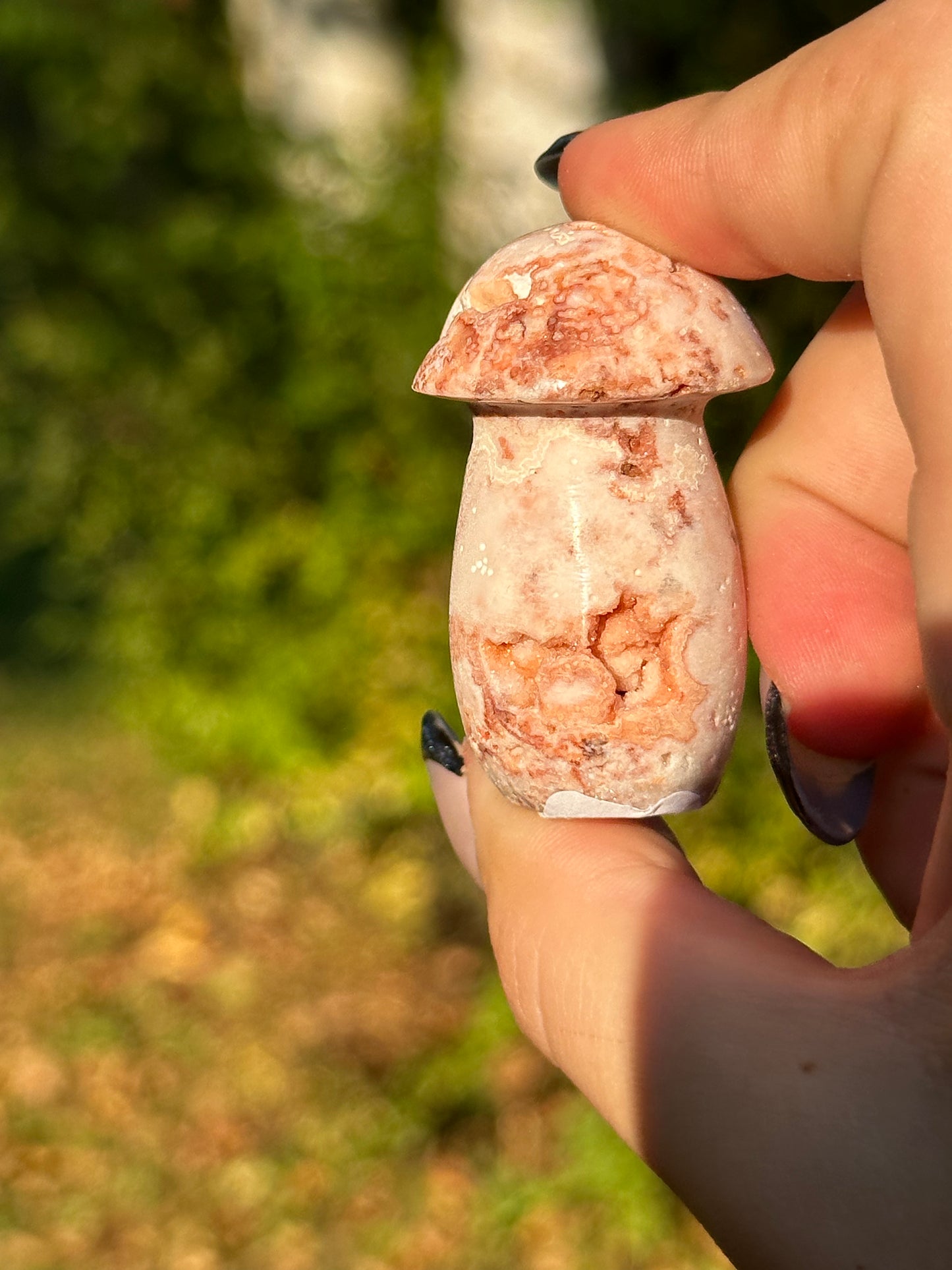 Pink Crazy Lace Agate Mushroom