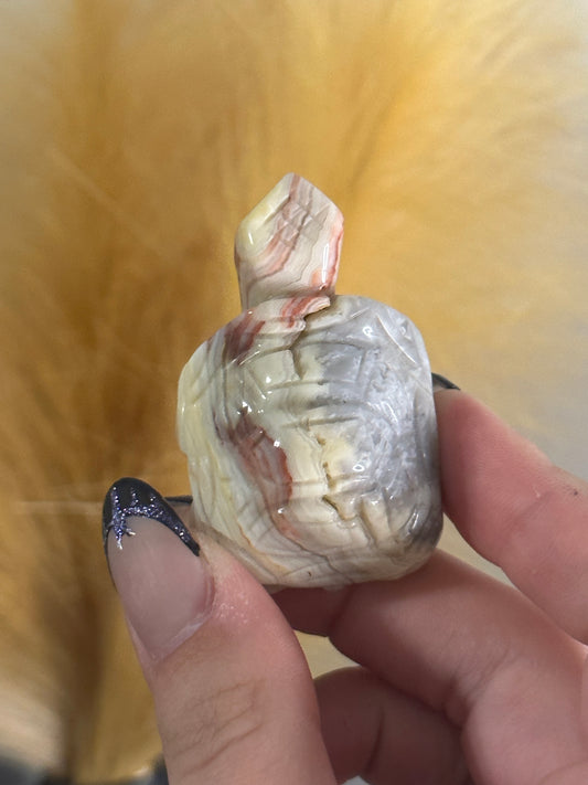 Crazy Lace Agate Tortoise