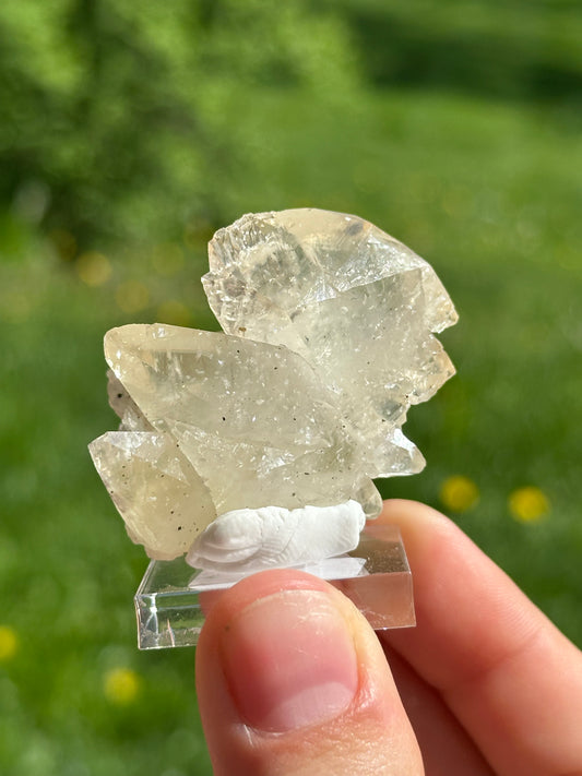 Elmwood calcite