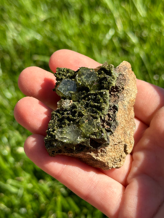 Forest epidote