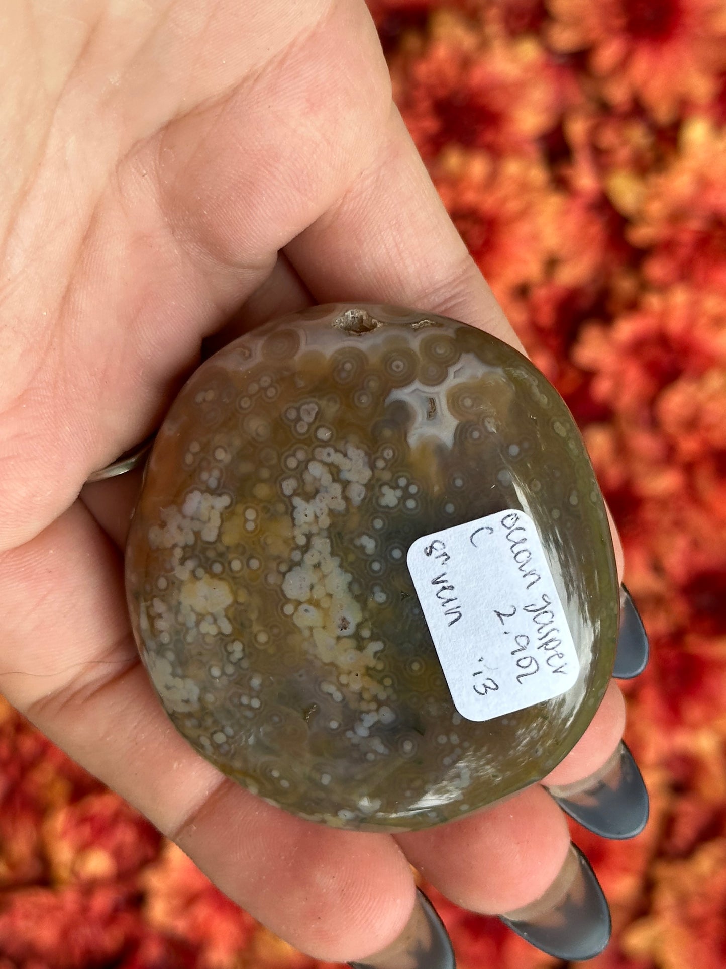 Ocean Jasper Palmstone- 8th Vein