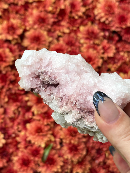 Pink Halite