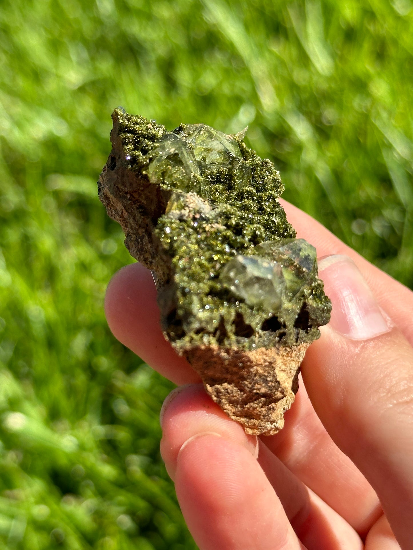 Forest epidote