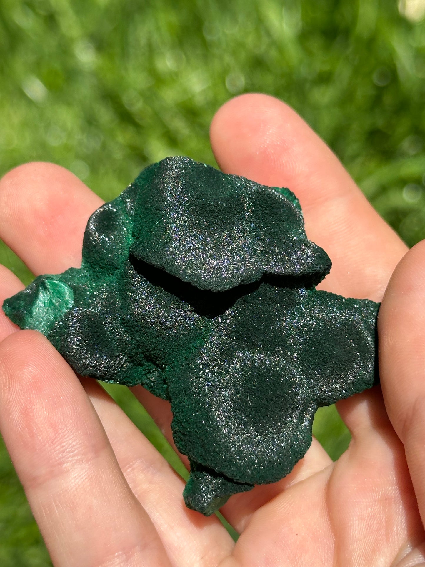 Velvet malachite