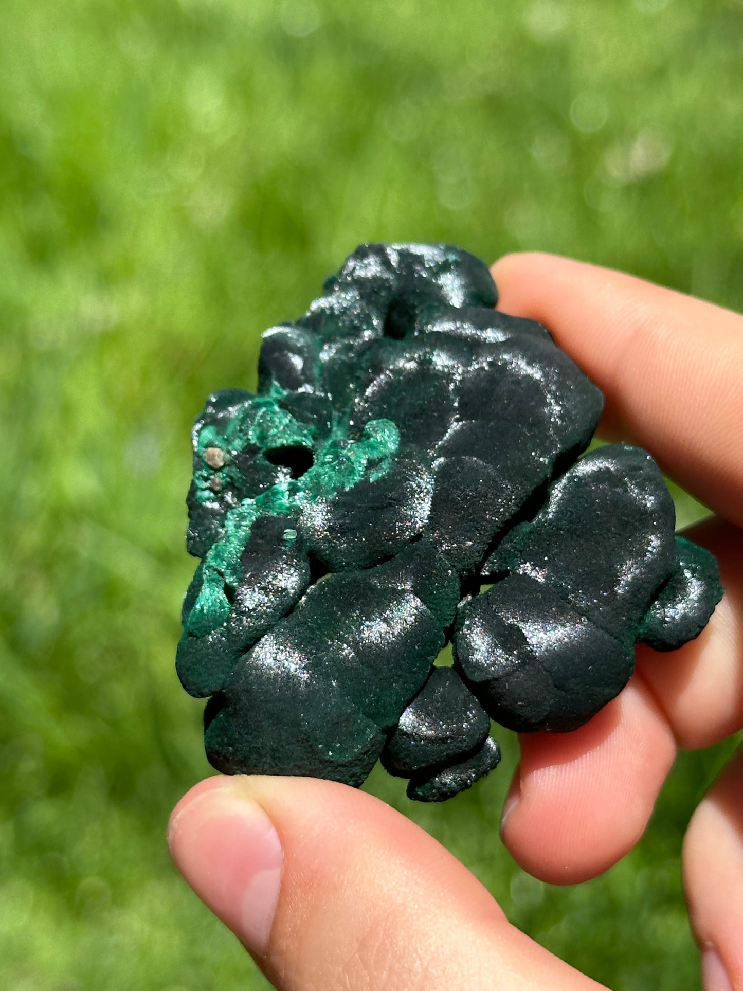 Velvet malachite