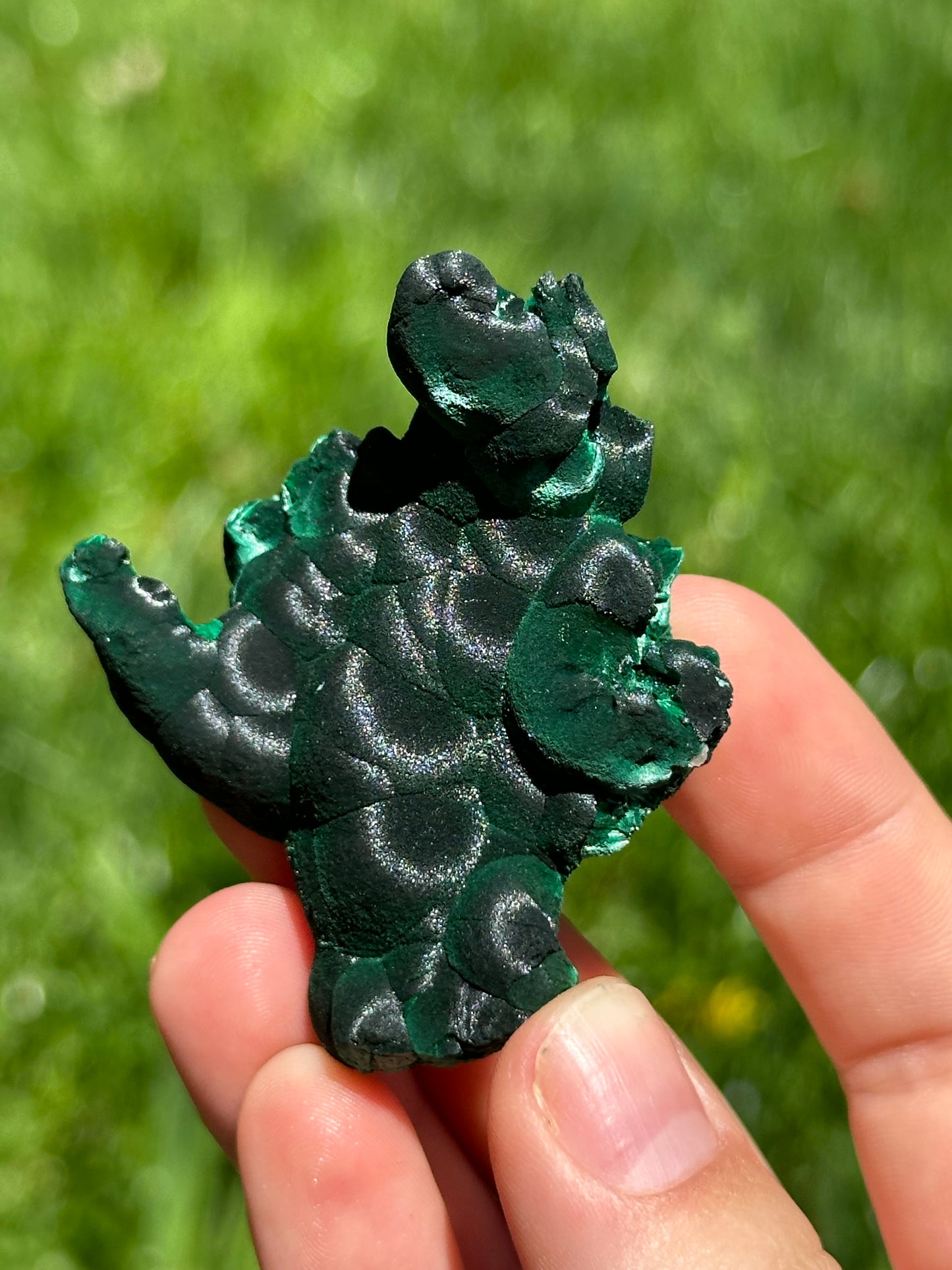 Velvet malachite