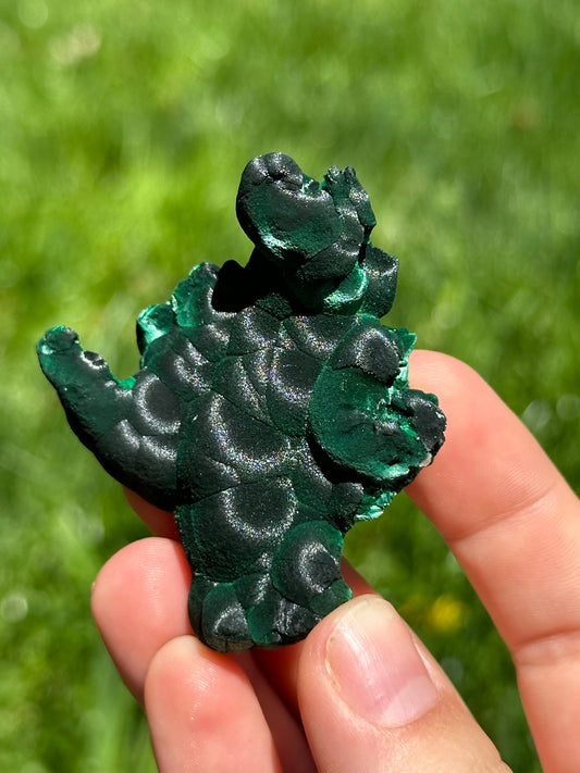 Velvet malachite