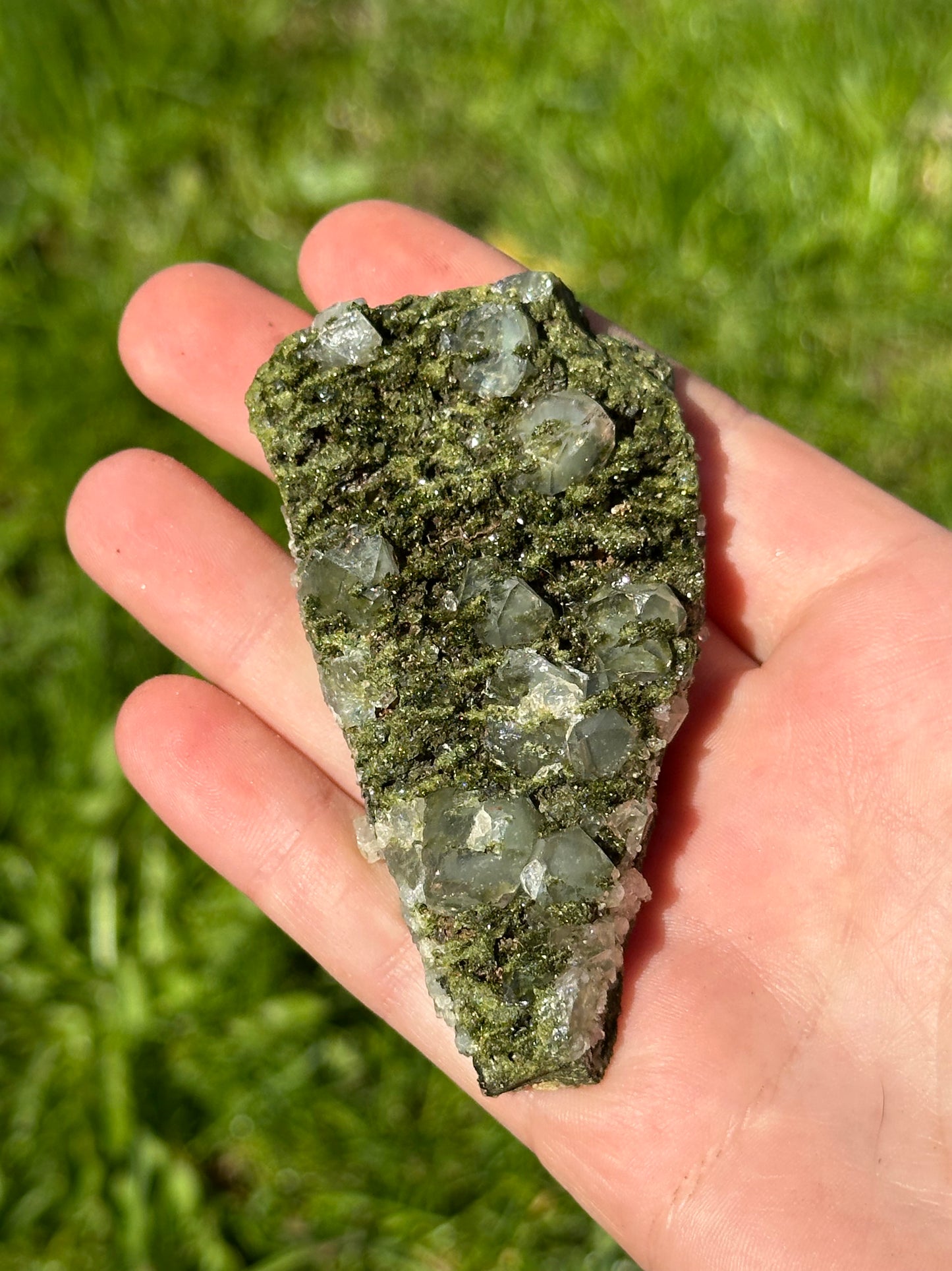 Forest epidote