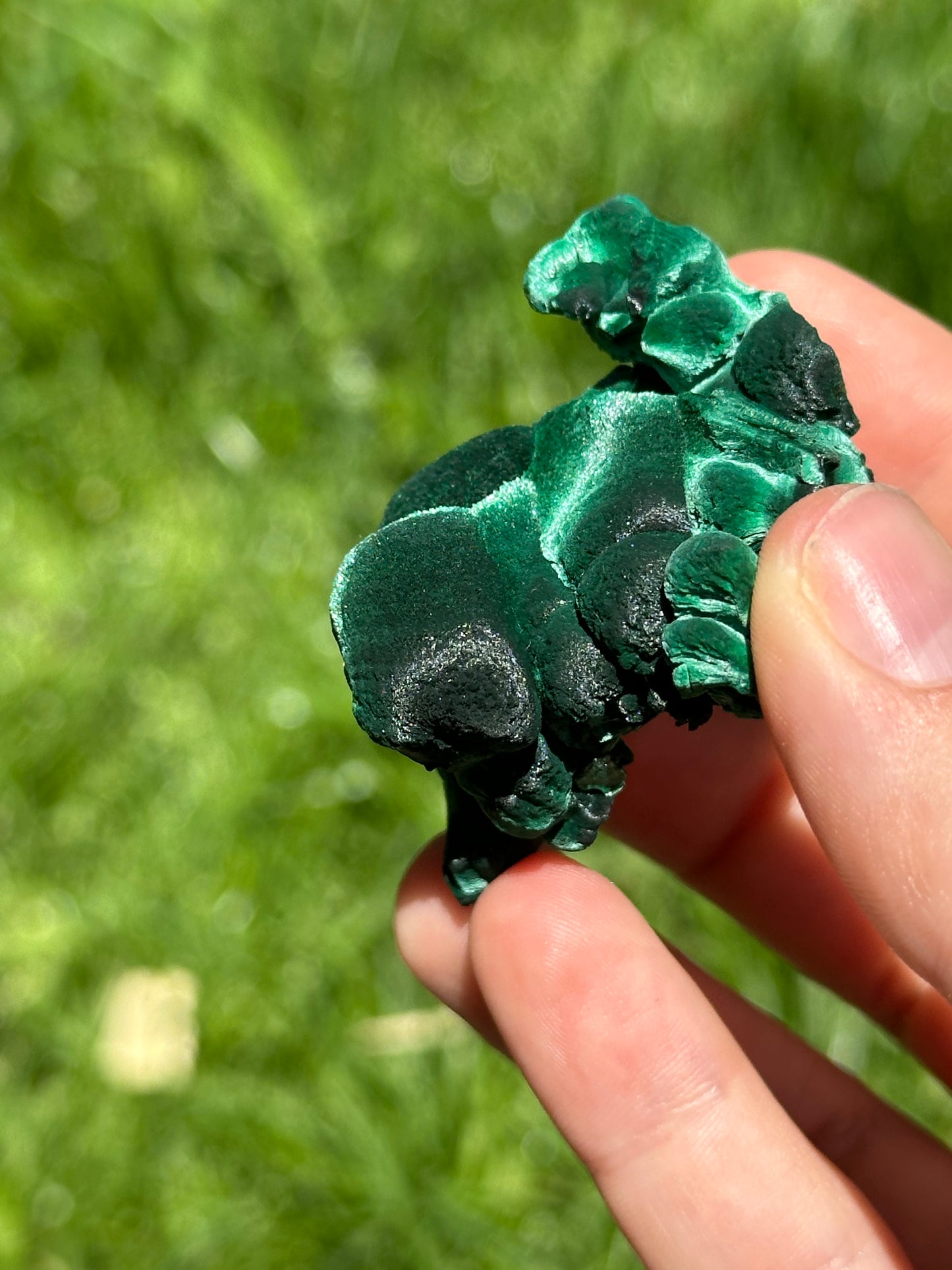 Velvet malachite