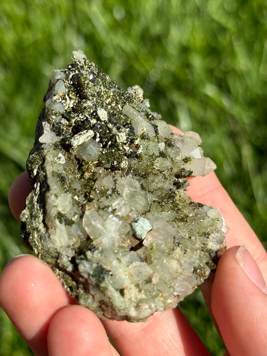 Forest Epidote