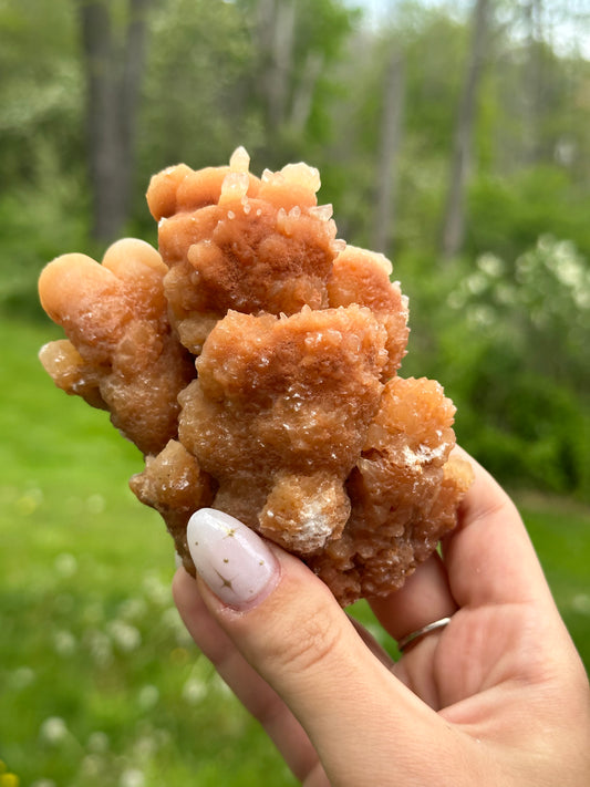 Coral Calcite