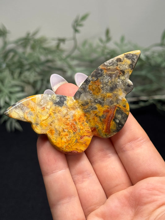 Crazy lace agate butterfly