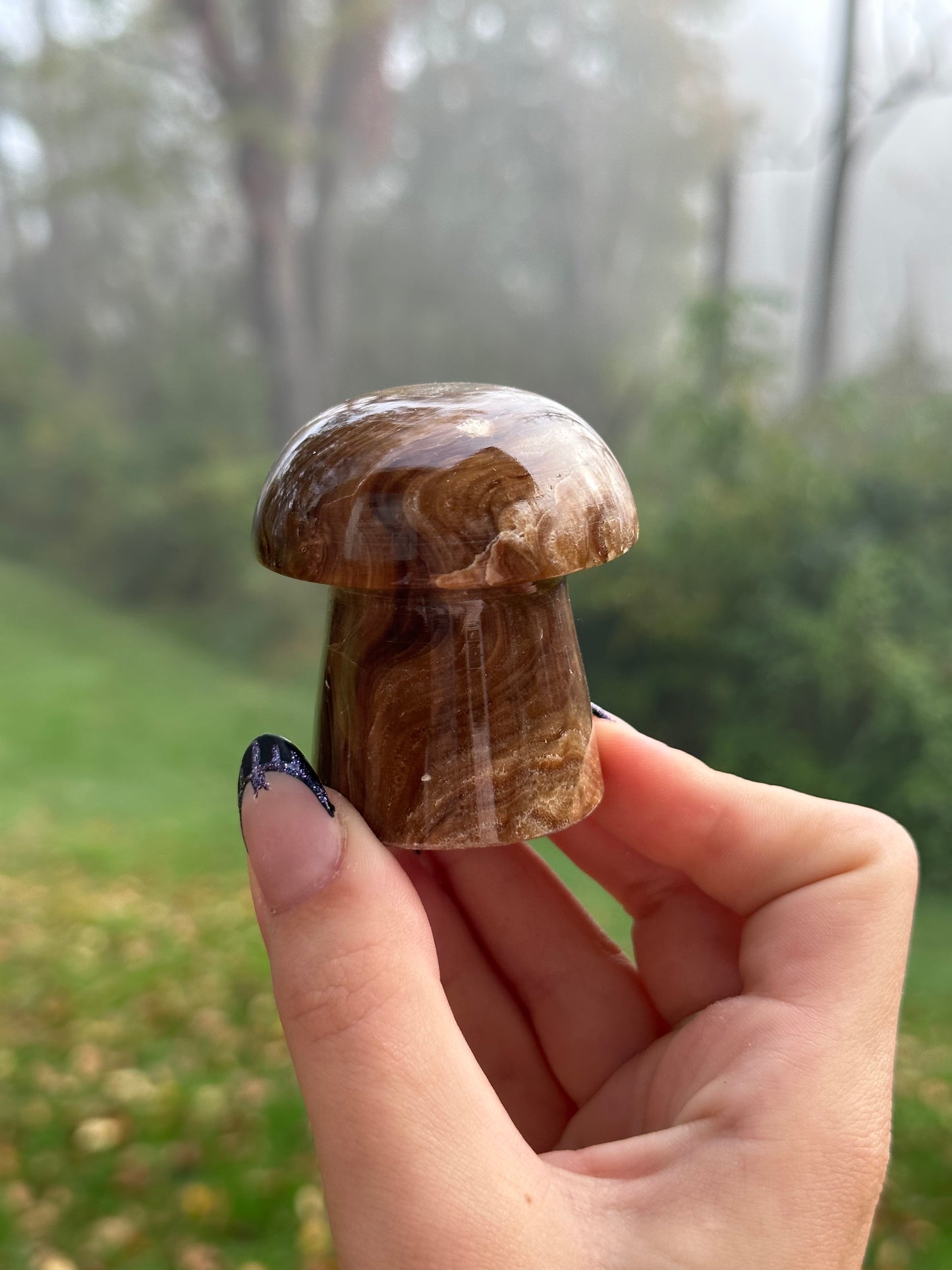 Chocolate calcite mushroom
