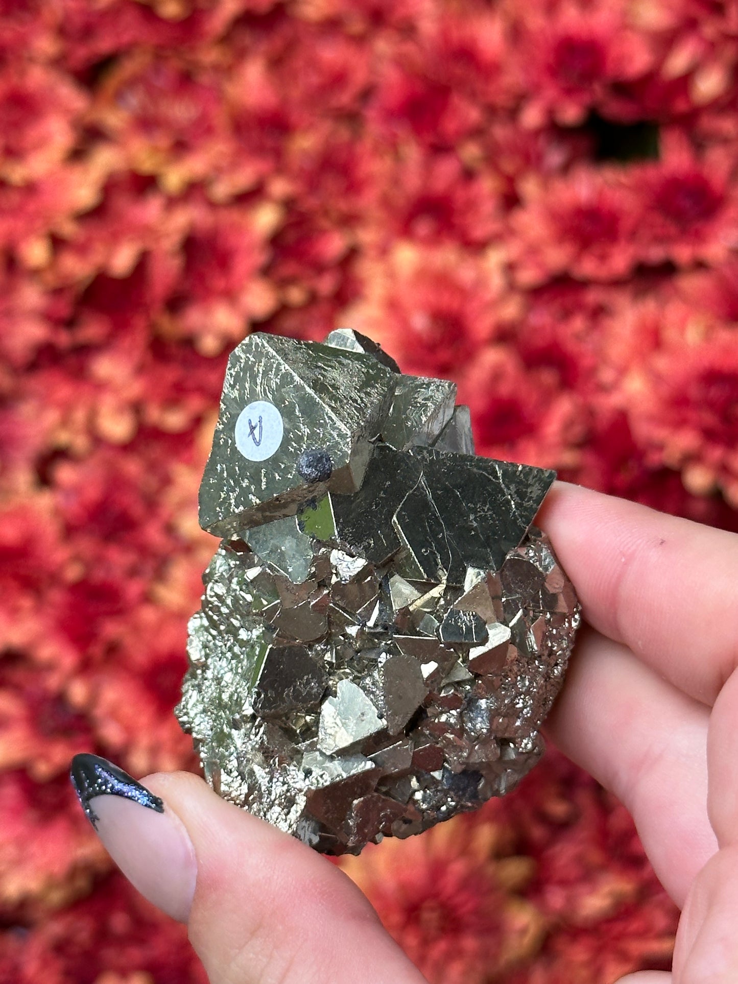 Octahedron Pyrite