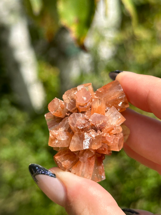 Aragonite