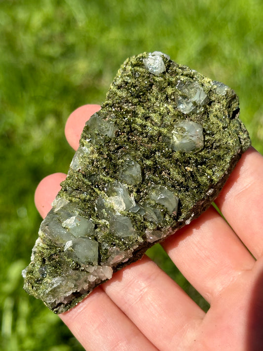 Forest epidote