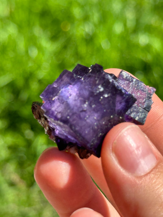 Elmwood fluorite
