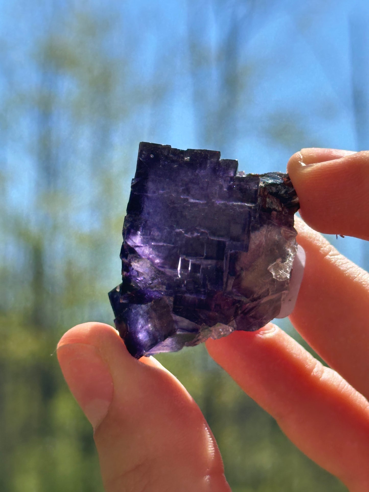Elmwood fluorite