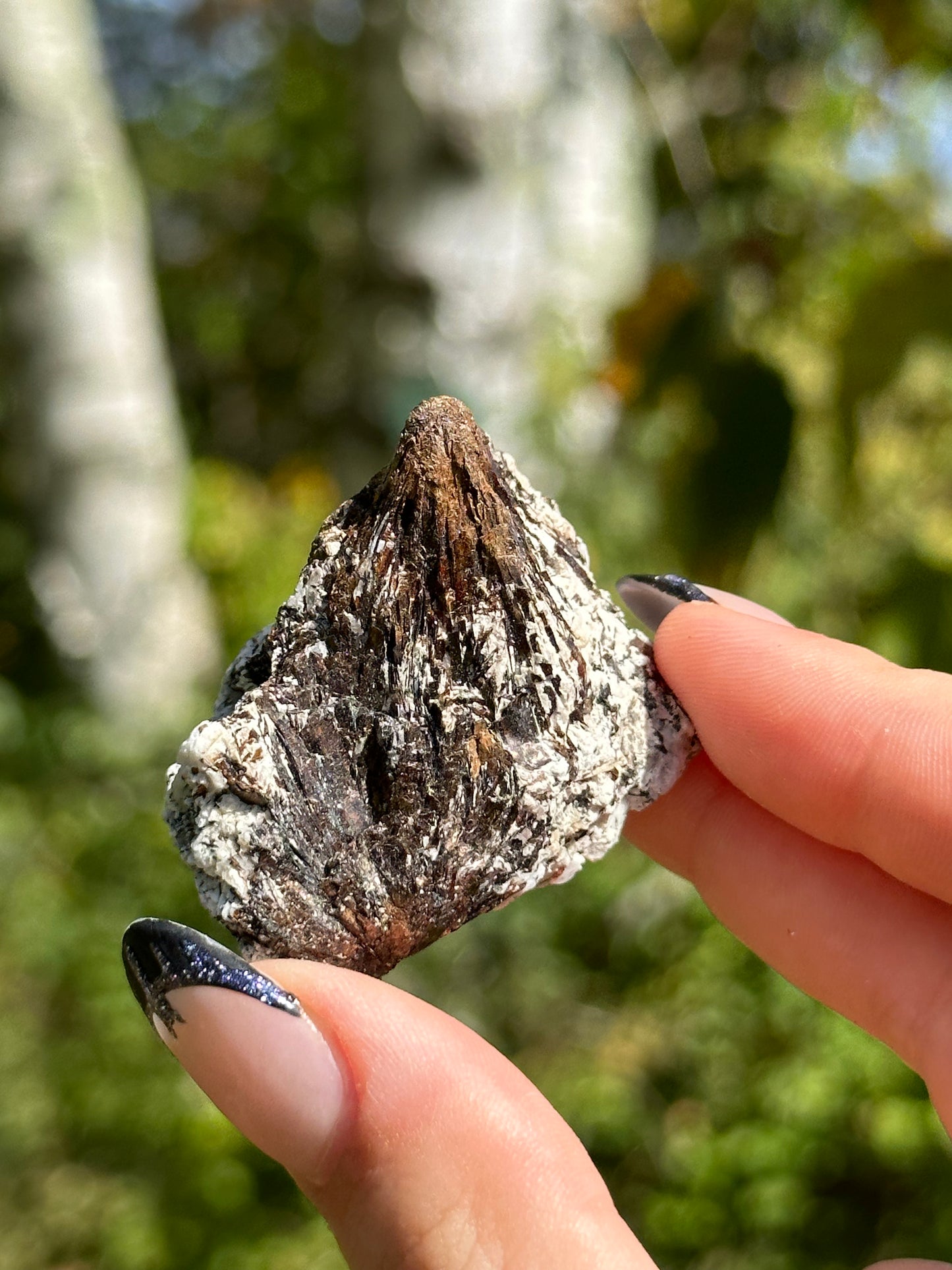 Astrophyllite