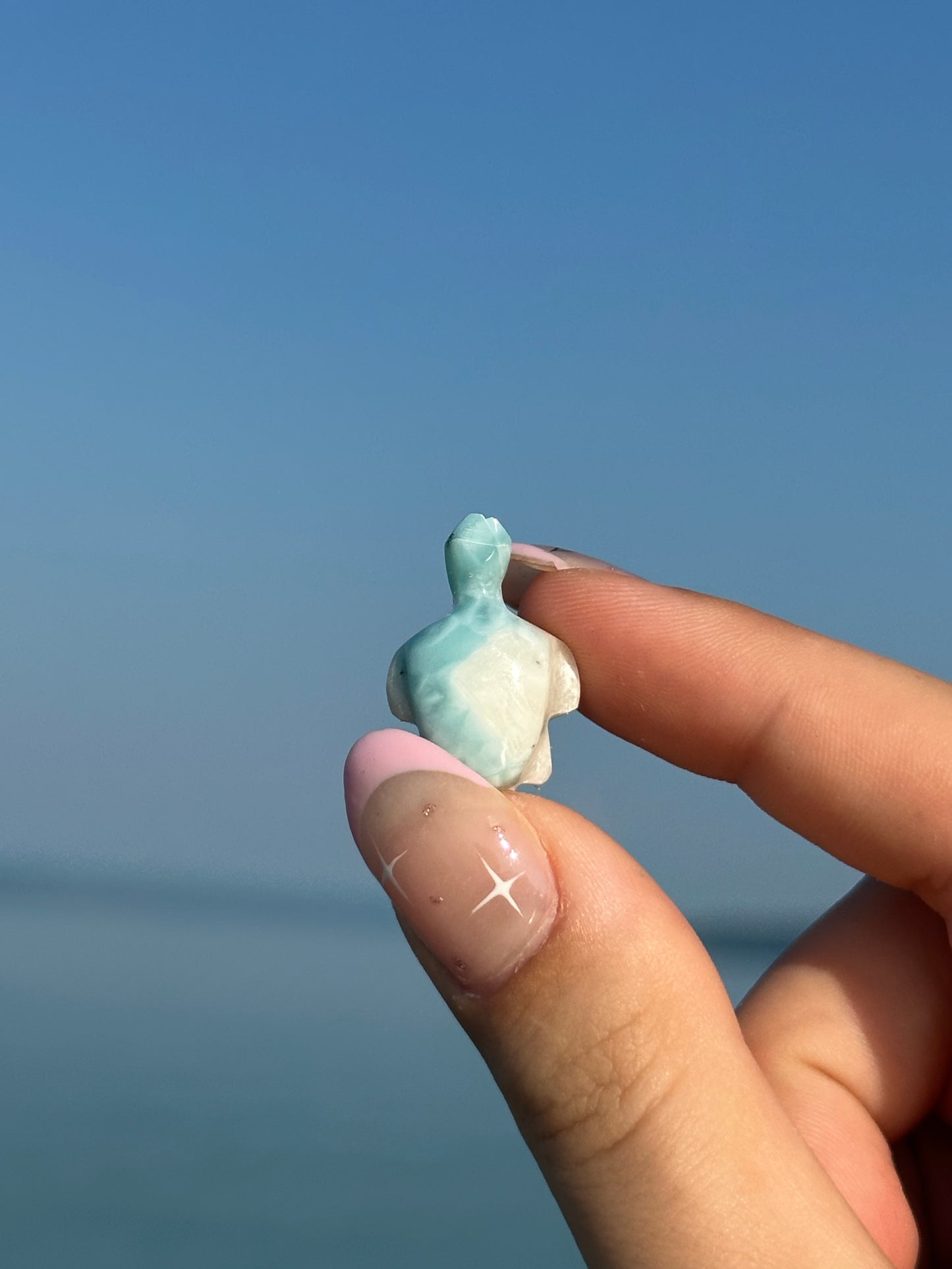Larimar turtle