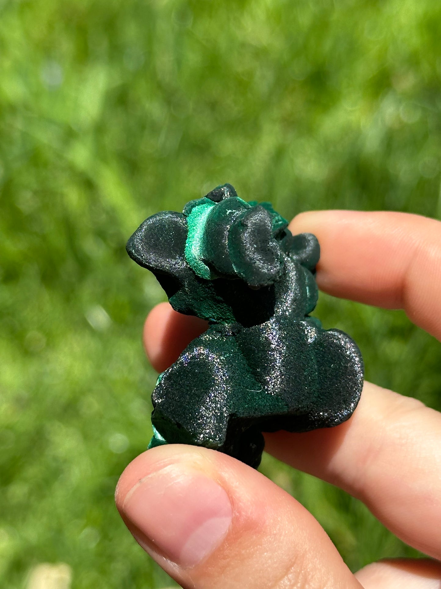 Velvet malachite