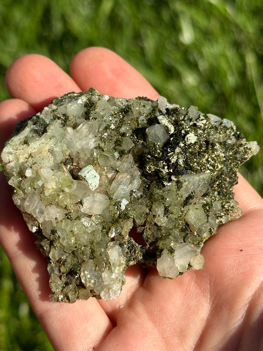 Forest Epidote
