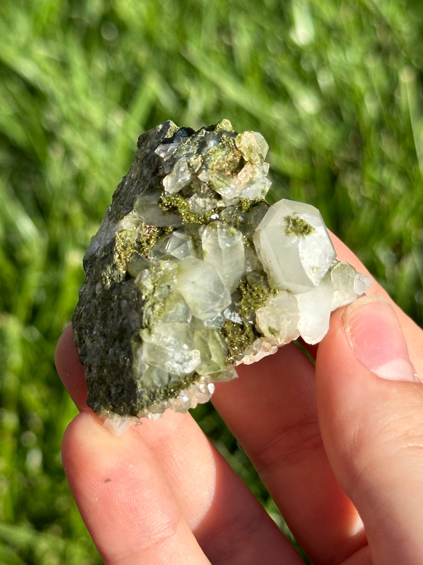 Forest epidote