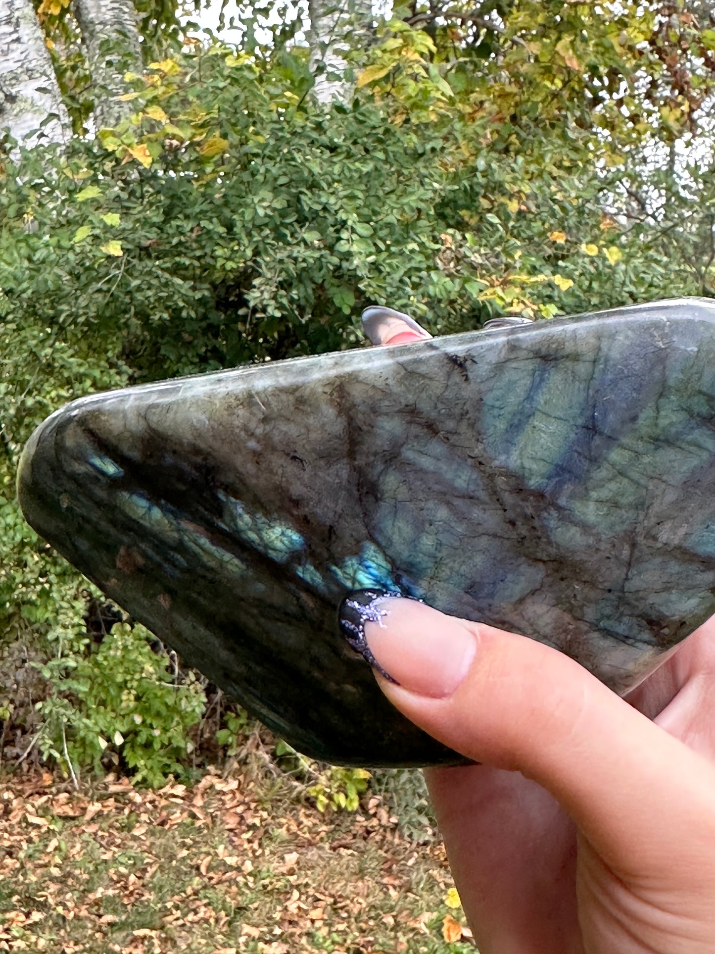 Labradorite Freeform