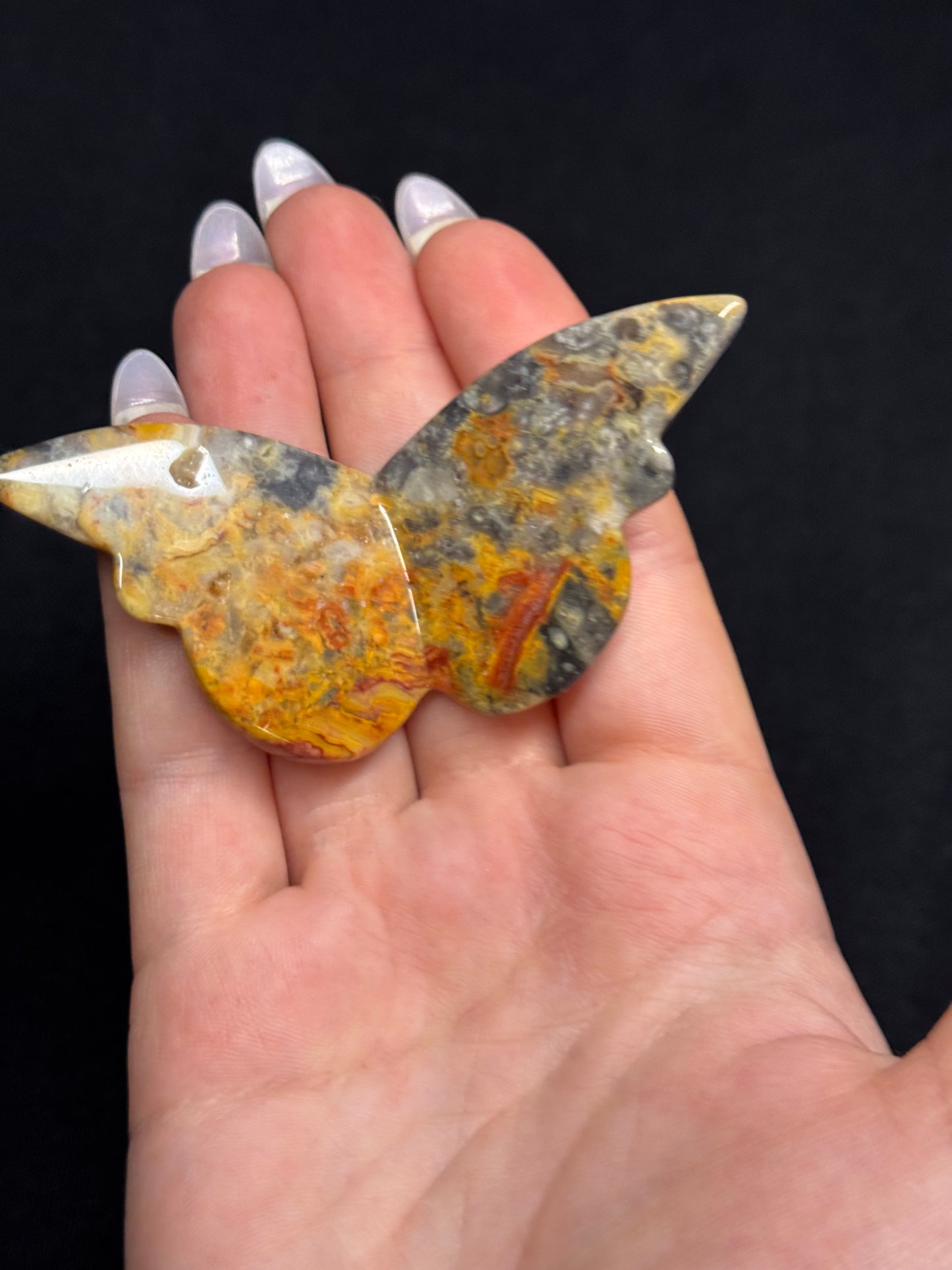 Crazy lace agate butterfly