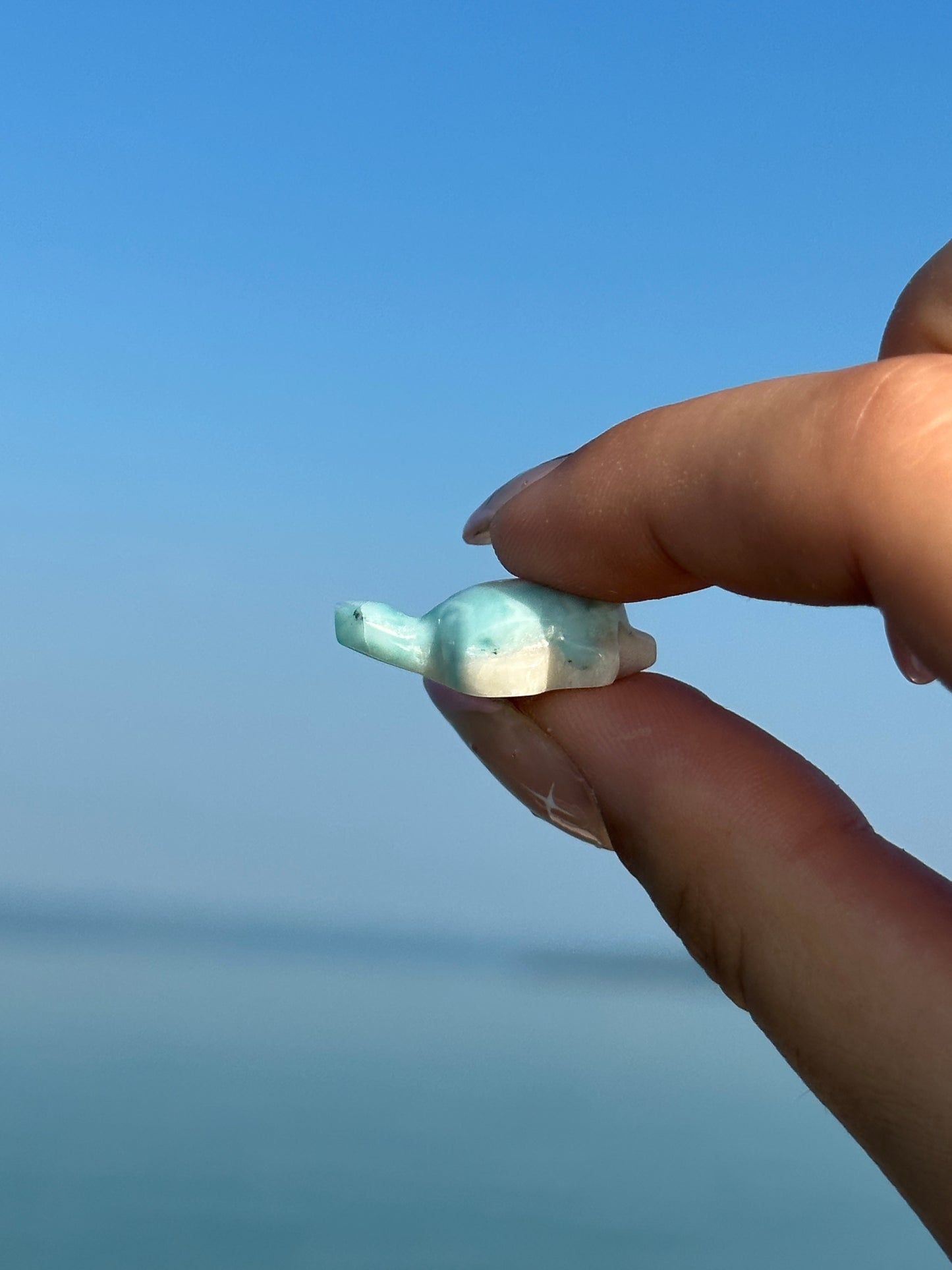 Larimar turtle