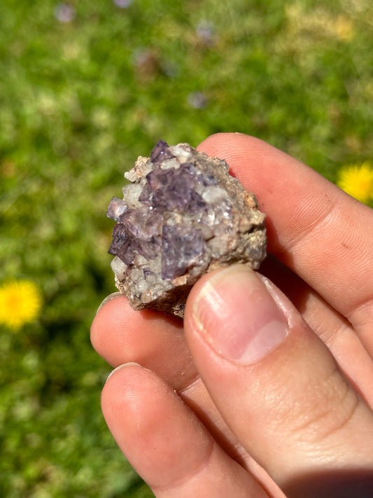 Colorado fluorite