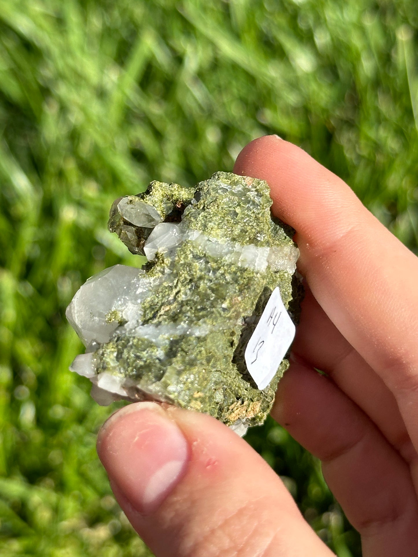 Forest epidote