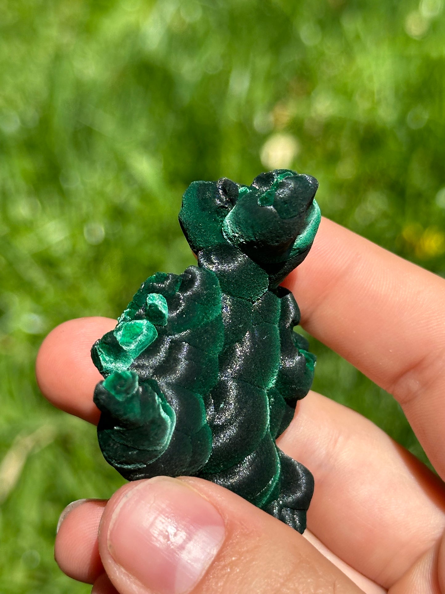 Velvet malachite