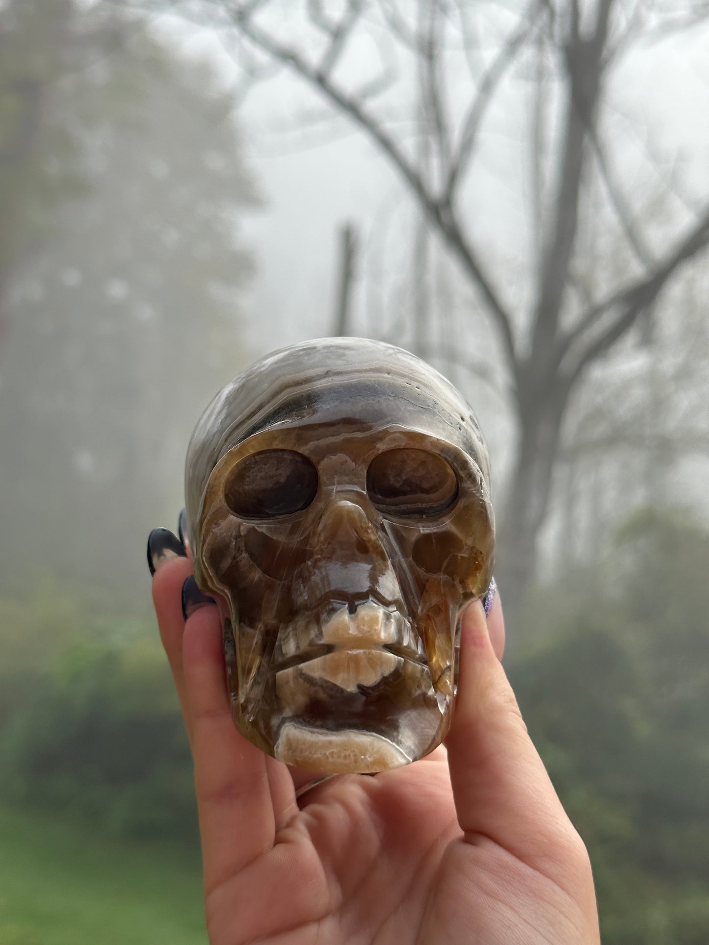 Chocolate calcite skull