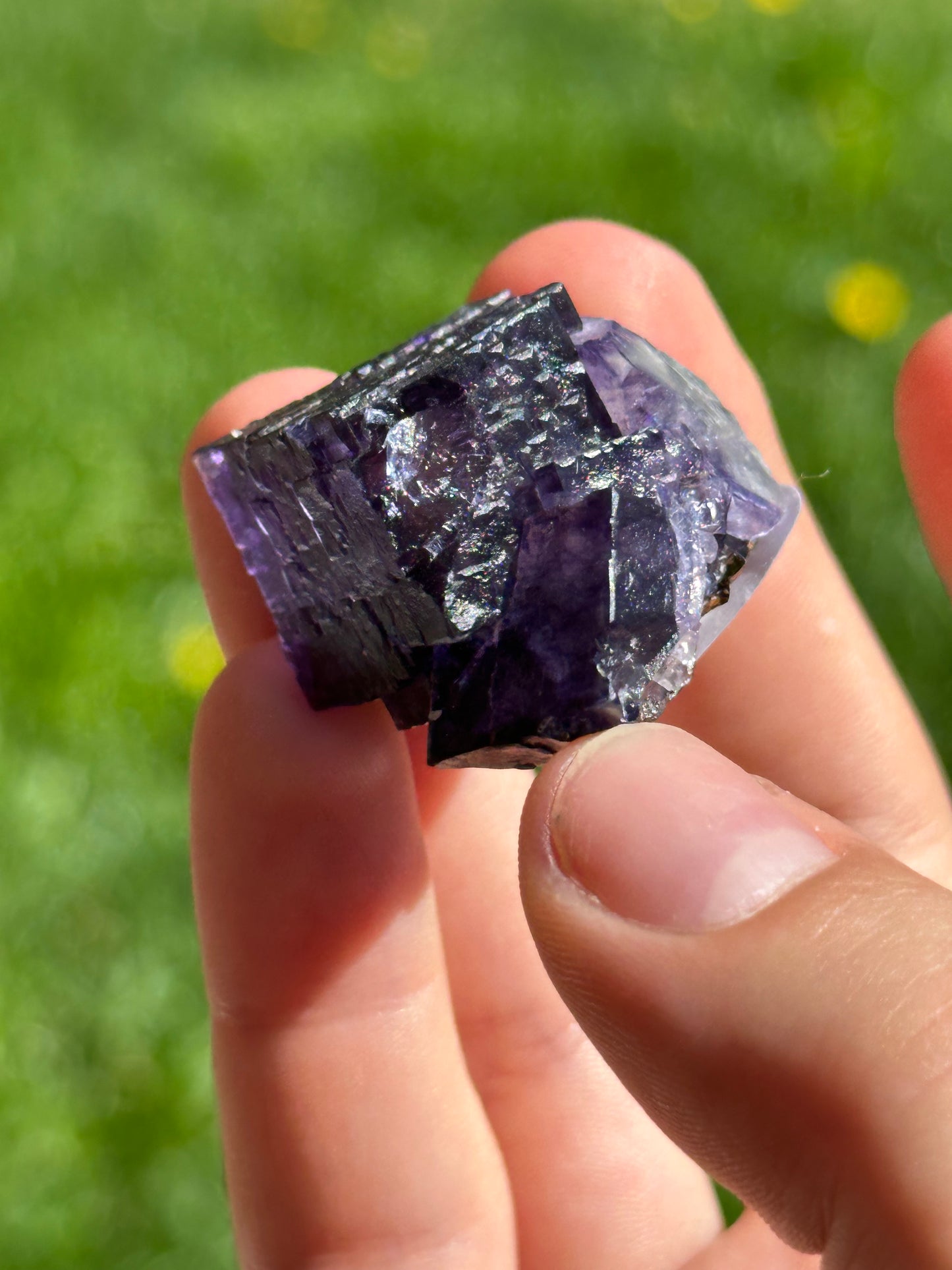 Elmwood fluorite