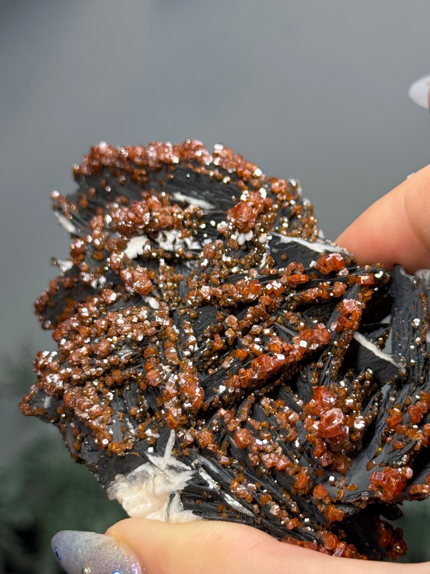Vanadinite on black barite- Morocco