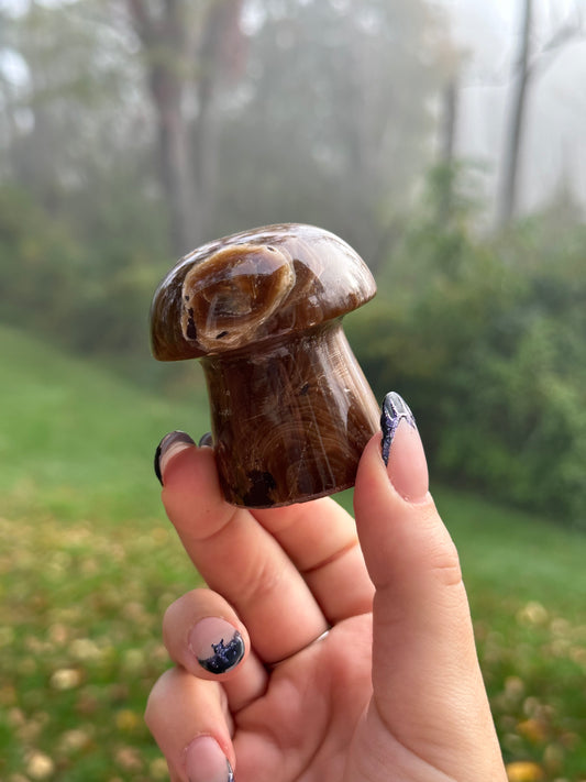 Chocolate calcite mushroom