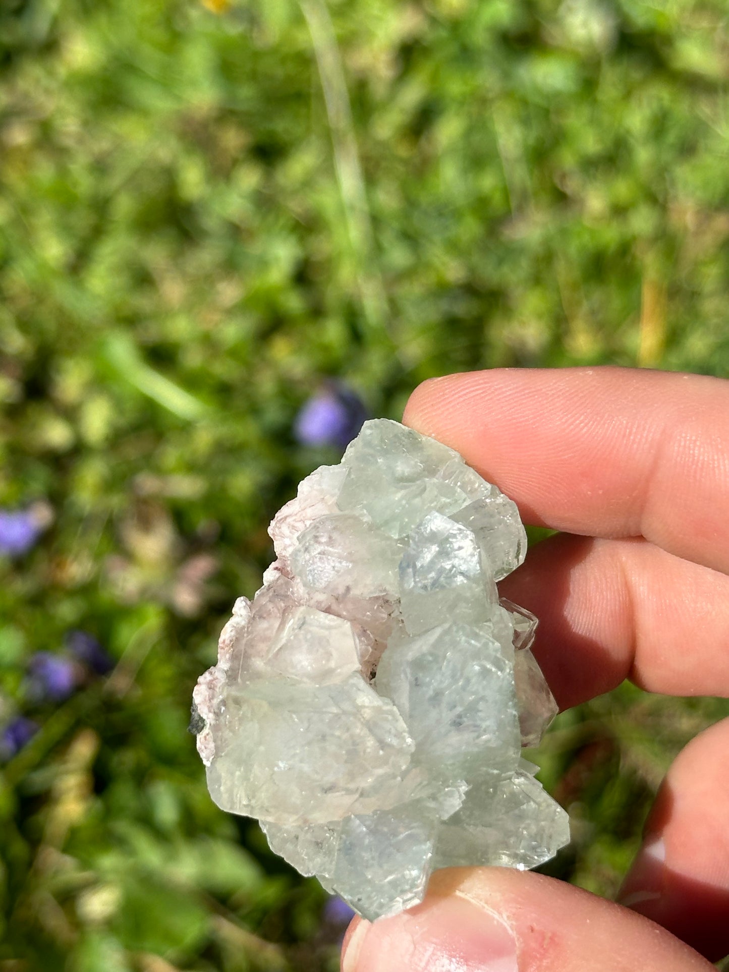 Green apophyllite | India