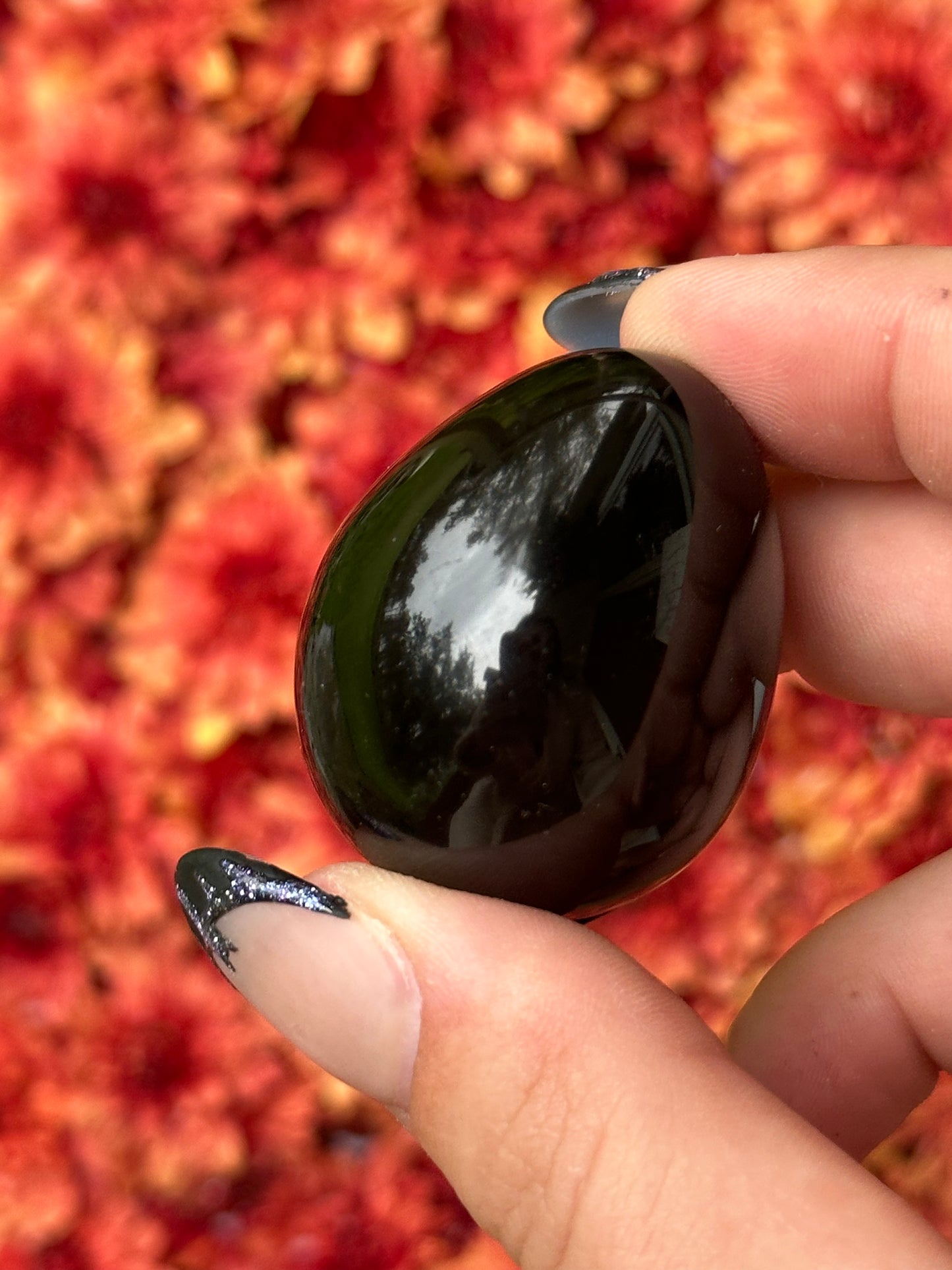 Obsidian Egg