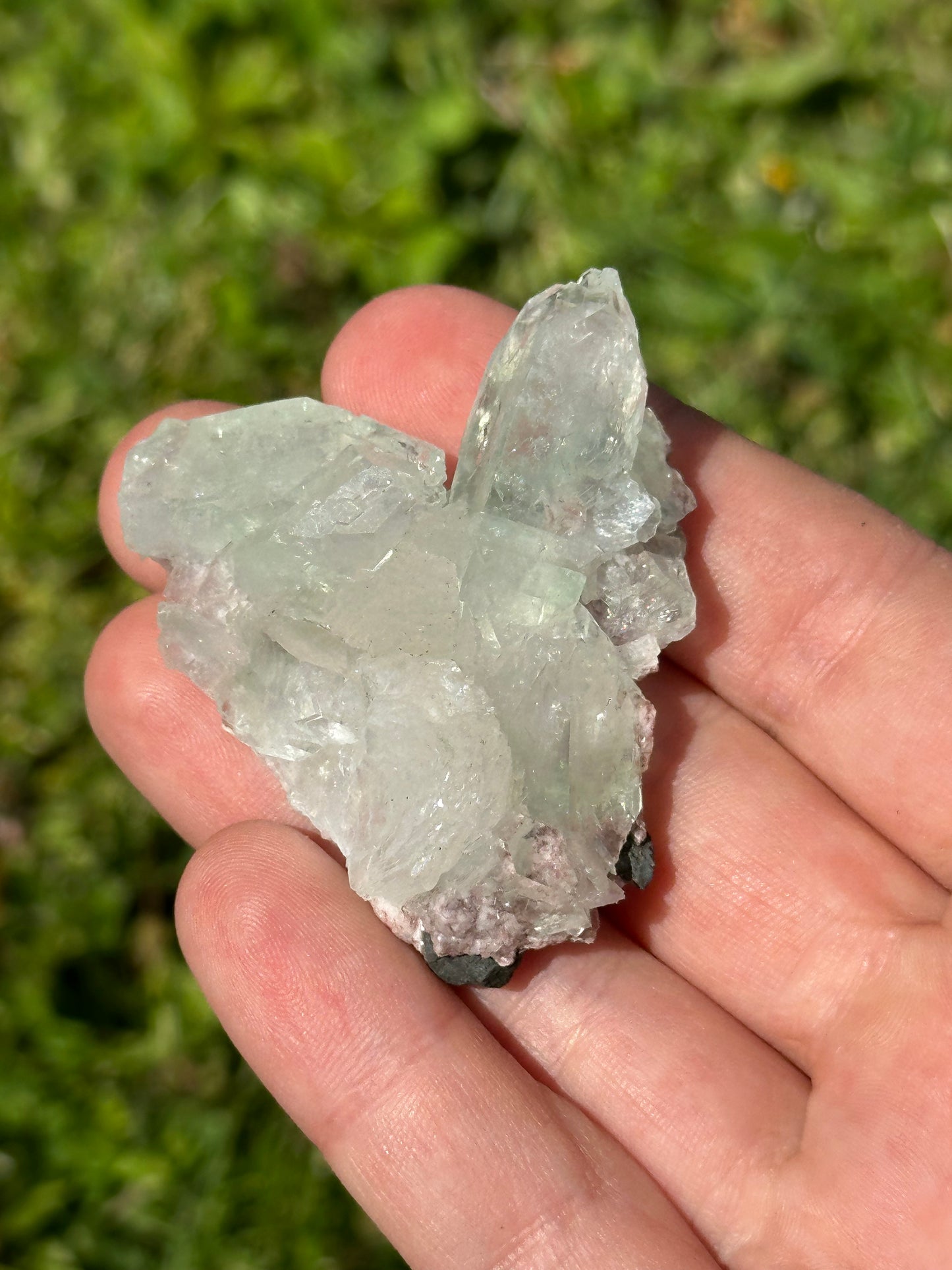 Green apophyllite with pink chalcedony | India