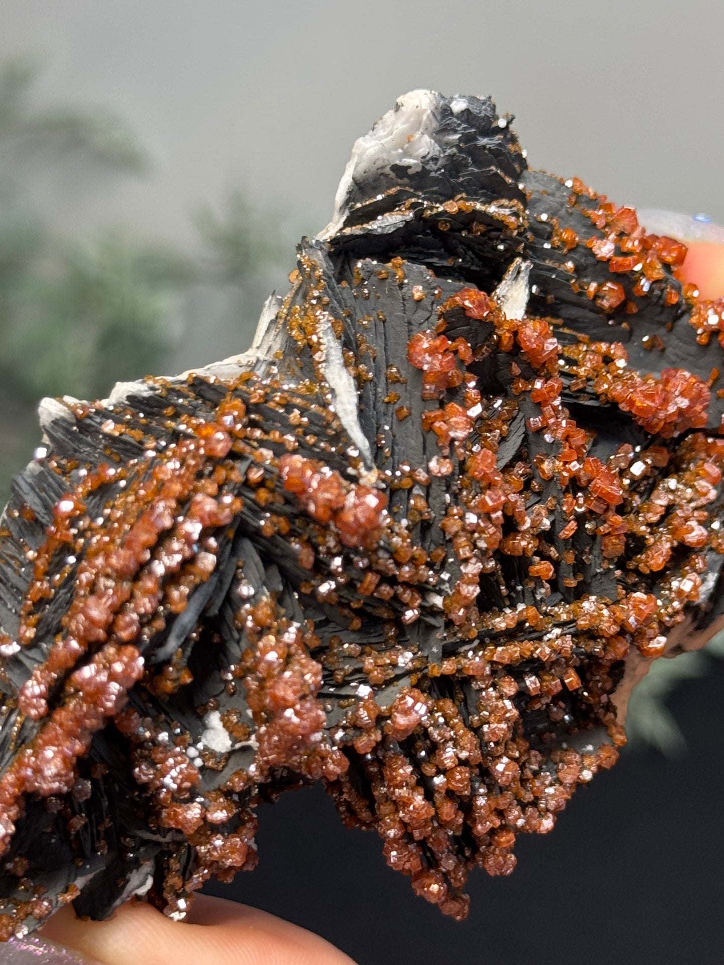 Vanadinite on black barite- Morocco