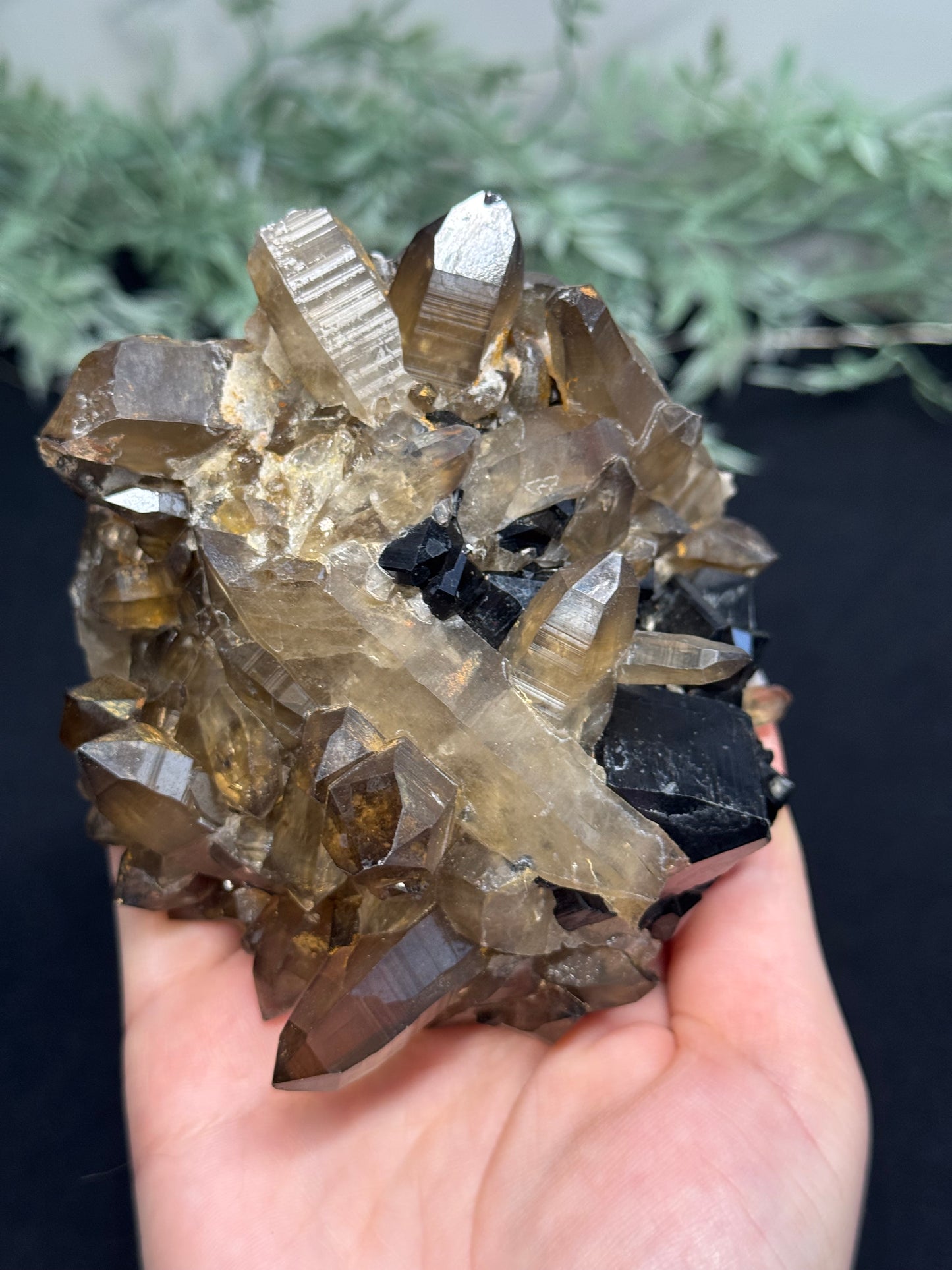 Smokey Quartz with black tourmaline - Africa