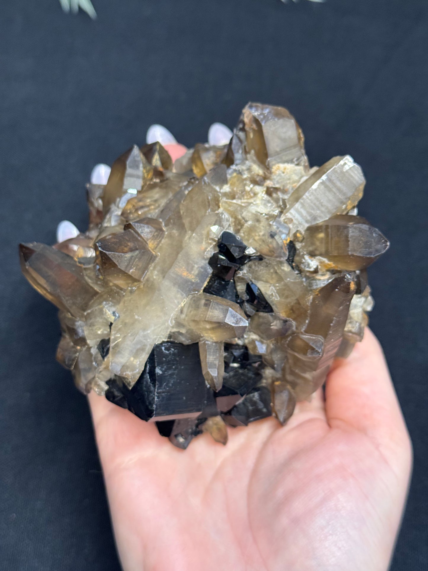Smokey Quartz with black tourmaline - Africa