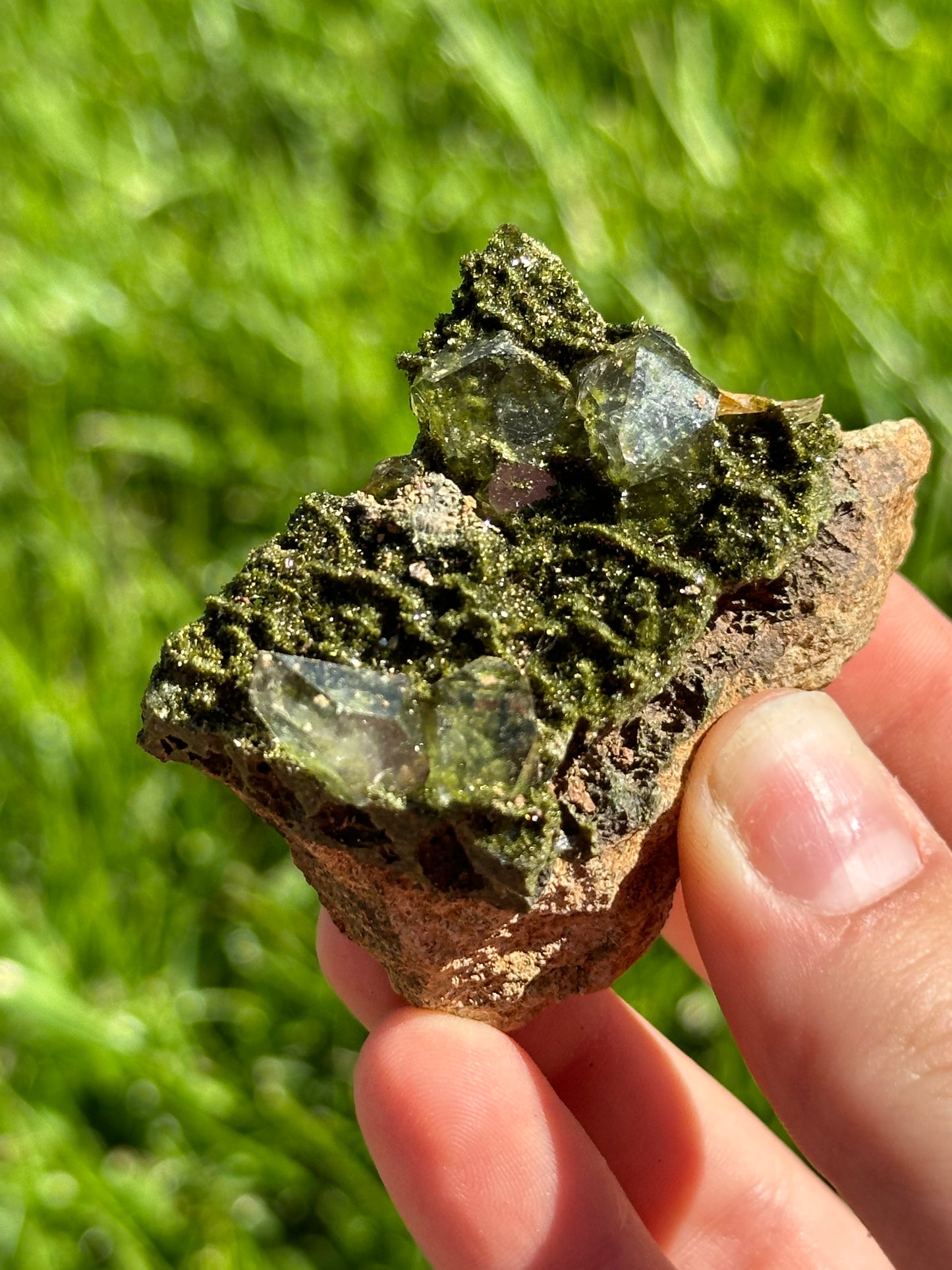 Forest epidote