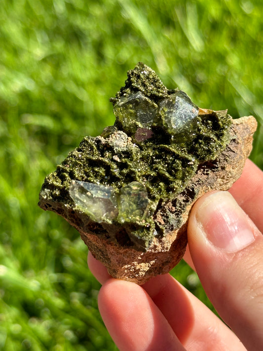 Forest epidote