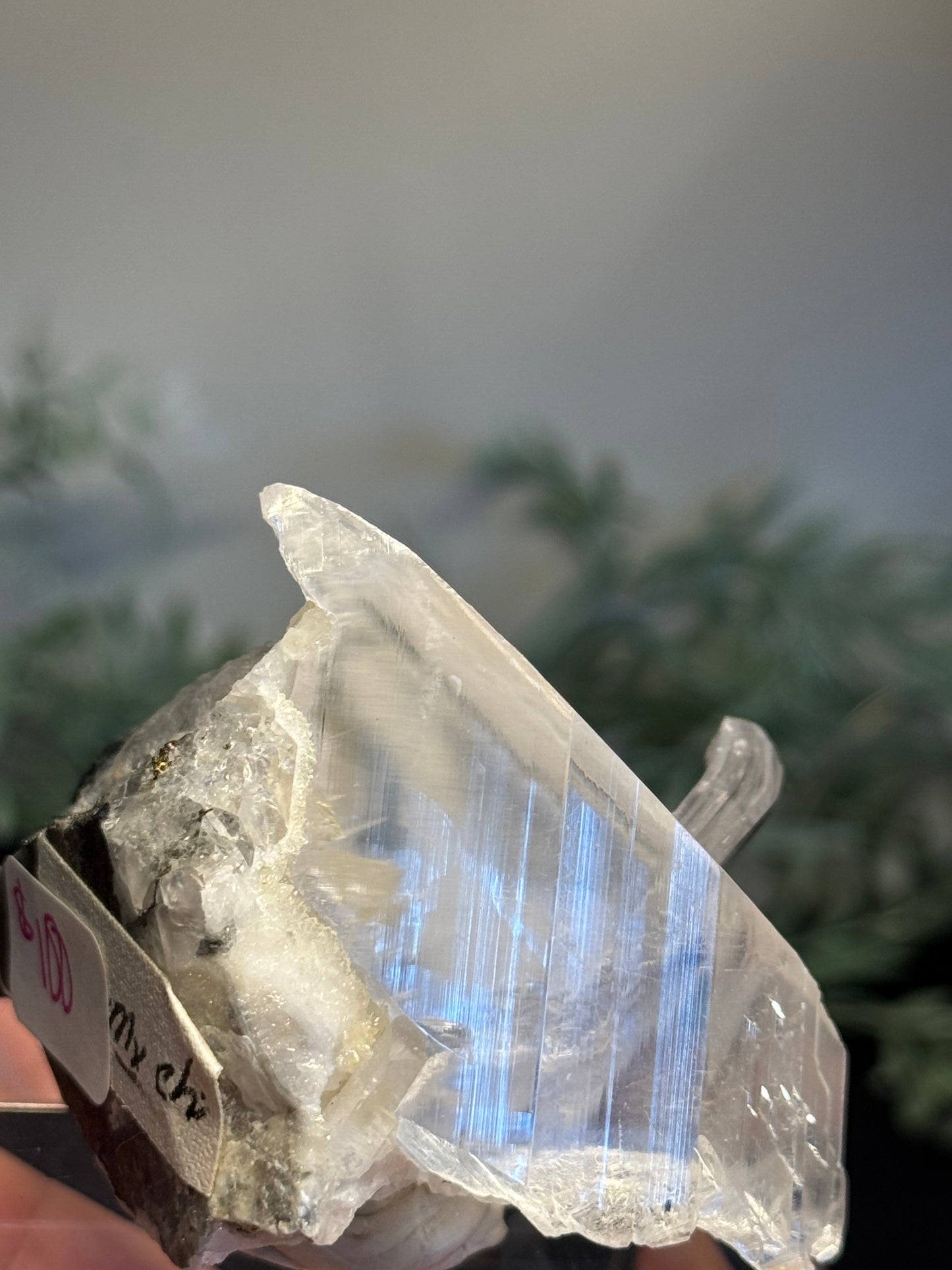 Niaca Selenite