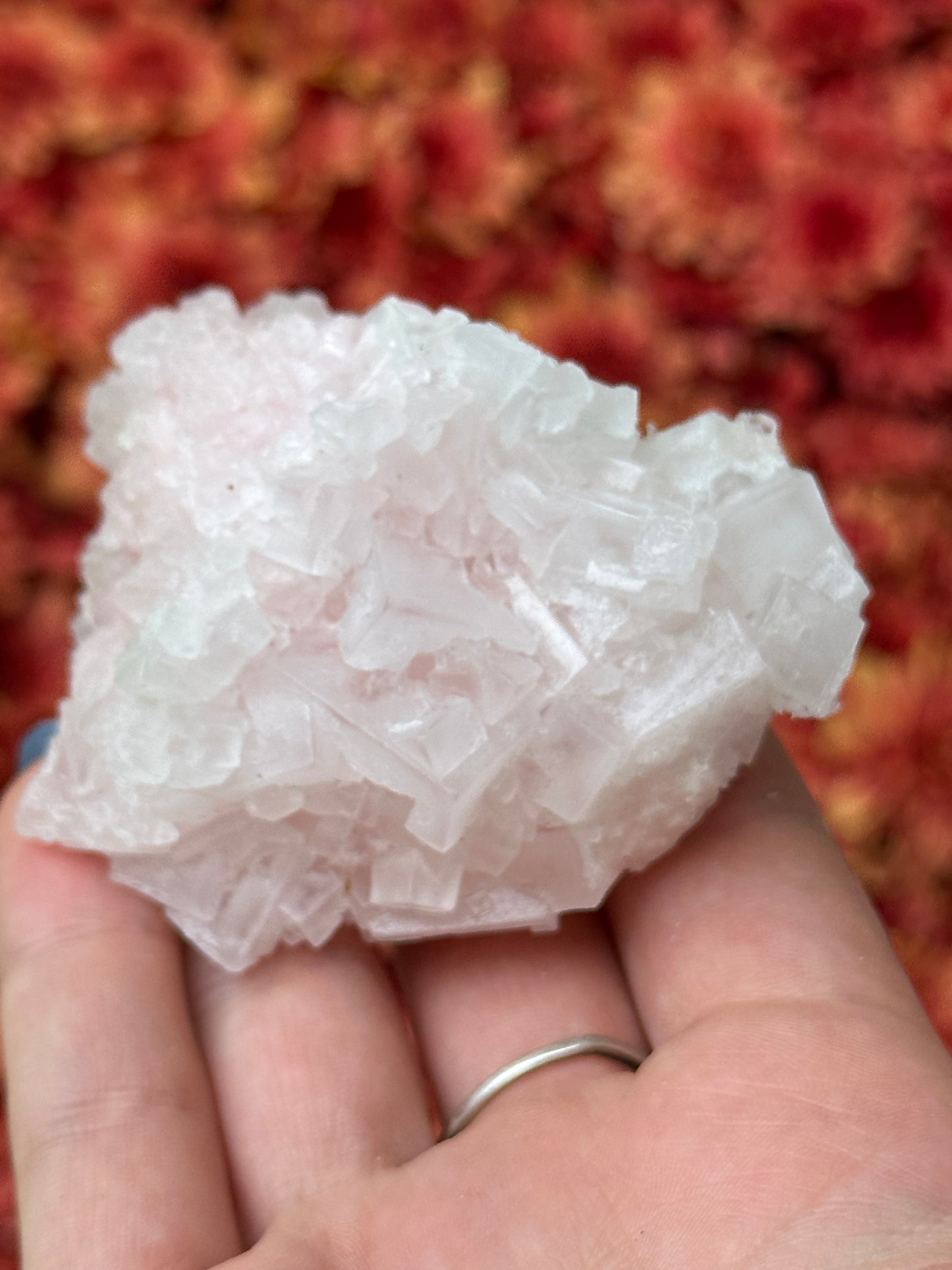 Pink Halite