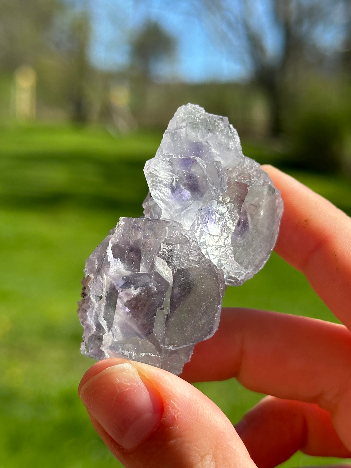 YGX fluorite with pyrite