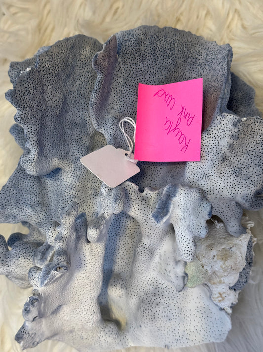 thepinkcloud_bykayla