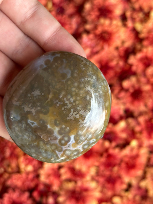 Ocean Jasper Palmstone- 8th Vein